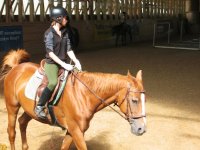 Katarzyna Węgłowska-Plezia